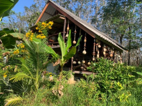 Fruit villa